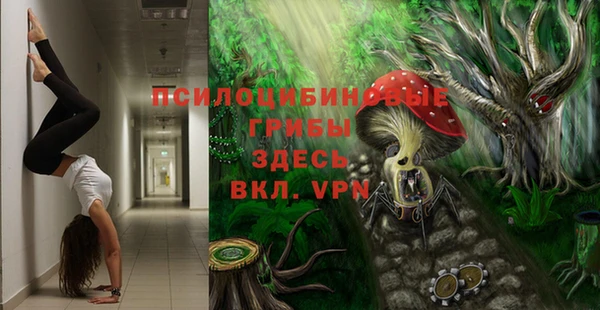 mdpv Медногорск