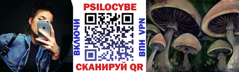 Псилоцибиновые грибы ЛСД  закладка  Альметьевск 