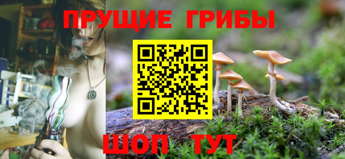 Псилоцибиновые грибы Psilocybine cubensis Альметьевск