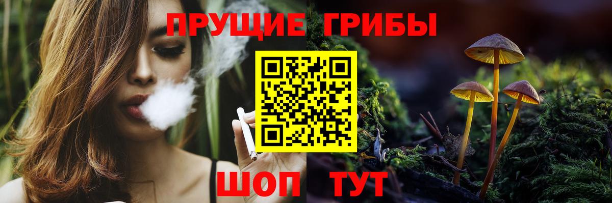 купить закладку  Псилоцибиновые грибы MAGIC MUSHROOMS  Вход с VPN  Альметьевск 
